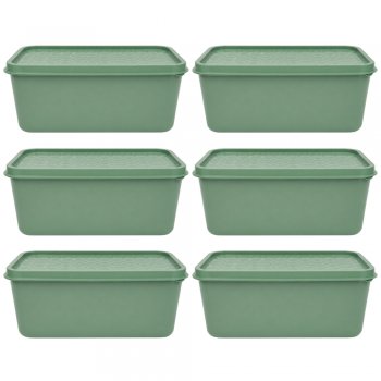 Jogo 6 Potes Organizadores Retangular 2,5L com Tampa Decorada Menta