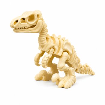 Miniatura Dinossauro Esqueleto Skeleton Velociraptor
